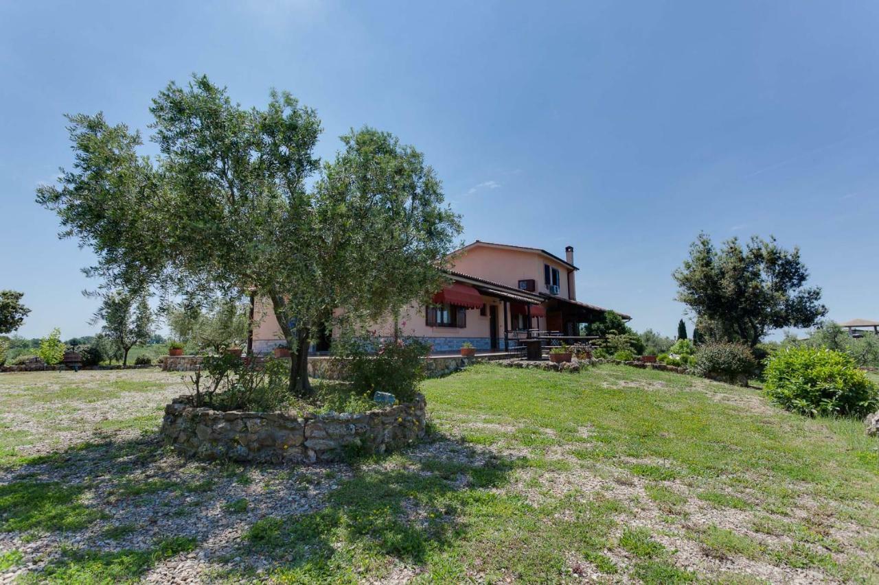 Agriturismo Casale Sasso Cerveteri Exteriör bild