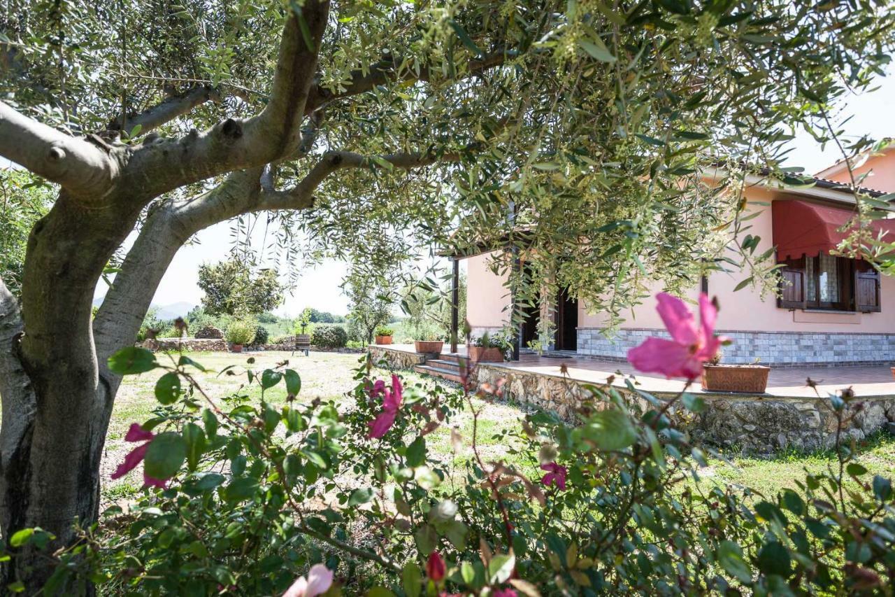 Agriturismo Casale Sasso Cerveteri Exteriör bild